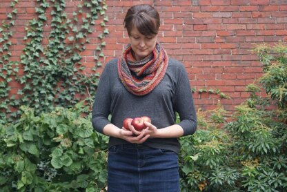 Winged Knits Zauber Cowl PDF