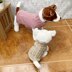 Dog Coat Jumper Knitting Pattern #654