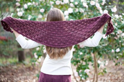 Cocoon Me Cowl & Shawlette