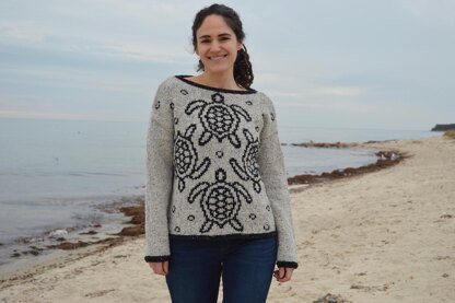 Sea Turtles Pullover