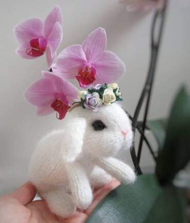 Little white bunny #2