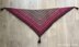 Ana Lucia Shawl