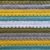 Blue Tit Stripe Baby Blanket