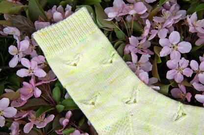 Cabbage Butterfly Socks