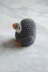 Pocket Sized Puffin