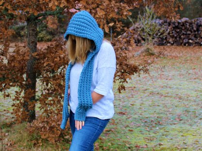 Winter Blues Hooded Scarf