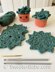 #358 Succulent Coaster Set