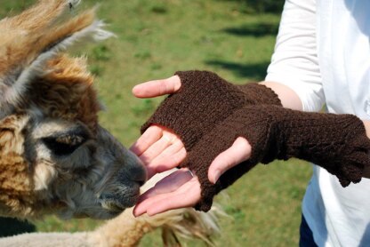 Filetage Fingerless Gloves