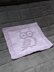 Cute Owl Dishcloth