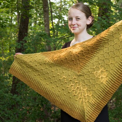 Intertwined Shawl