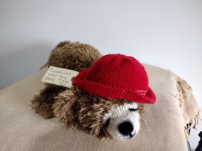 Sleepy Paddington Bear Cub