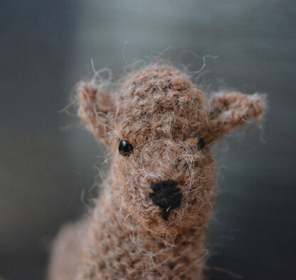 Brown Alpaca