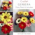 Gerbera Daisy