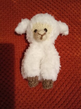 Lamb egg cosy