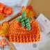 Baby Pumpkin Hat