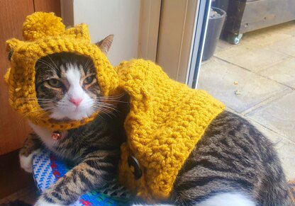 Cat Jacket & Pom-Pom Hat