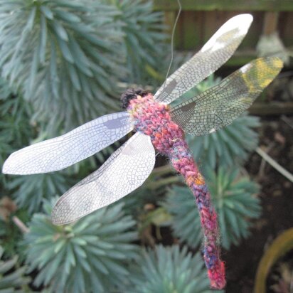 Dragonfly