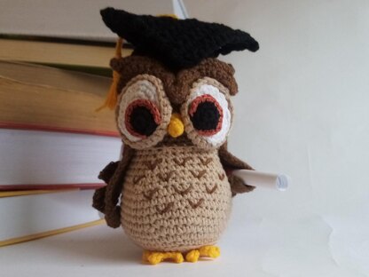 Owl Graduate