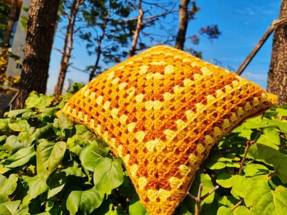 Pumpkin Spice 26 Cushion