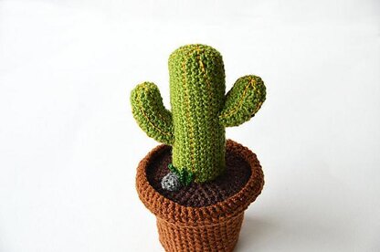 Desert Cactus Amigurumi Crochet Pattern