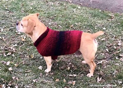 Easy Dog Sweater Medium