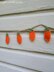 Super Easy Carrot Bunting