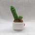 Surprise Cactus crochet pattern, Funny crochet pattern,Easy Crochet Patterns for Beginners