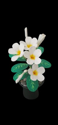 Crochet Plumeria flowers pattern