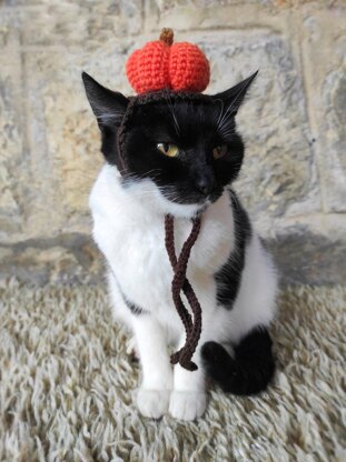 Pumpkin Cat Hat – Crochet
