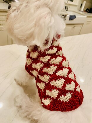 Candy Hearts Pet Sweater