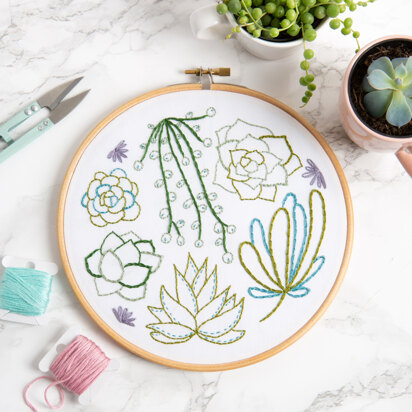 Hawthorn Handmade Succulents Contemporary Printed Embroidery Kit - 16cm