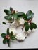 Softly Scalloped Shells Scrunchie