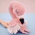 Flo the Flamingo