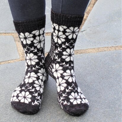 Phlox Socks - knitting pattern