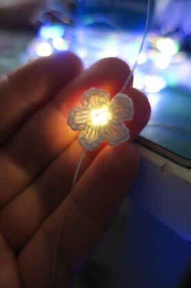 Forget Me Not