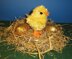 FLUFFY EASTER CHICK