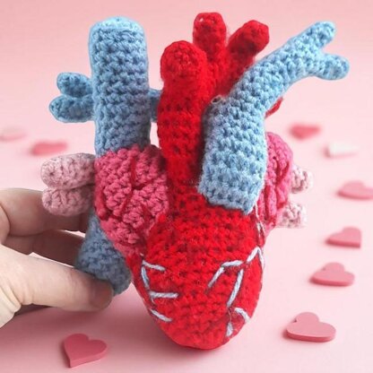 Anatomical Heart