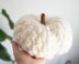 The Cozy Pumpkin