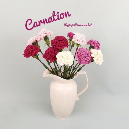 Carnation