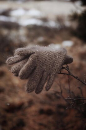 The Cloud Gloves