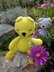 Little Big Bear