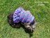 Ruffled Small Dog Sweater