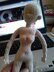 Basic doll body crochet 8-10 inches