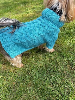 Aqua Dog or Cat Sweater