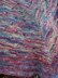 Brambly Hedge Shawl