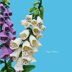 Foxglove