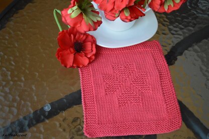 Dishcloth2