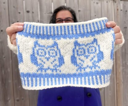 Owl Cowl & Mitts