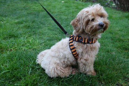 Halloween Dog Harness