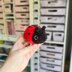 Baby Ladybug